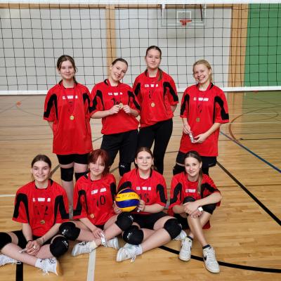 Võrkpalli võistlused